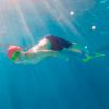 Imagen de Patas de Rana Long Floating FInis Talle M