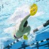 Imagen de Paletas Flotantes Natación Finis Manta Paddles S