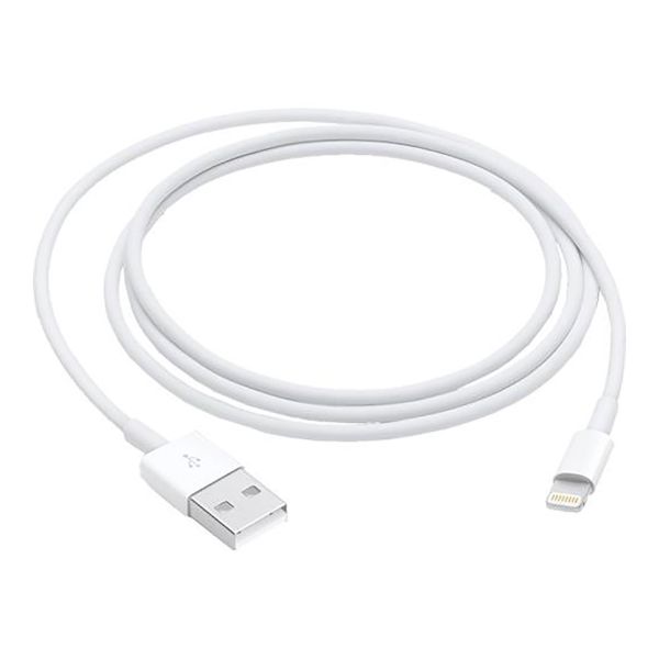 Imagen de Cable Lightning A Usb Apple 1m Reatil En Caja