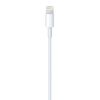 Imagen de Cable Lightning A Usb Apple 1m Reatil En Caja