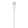 Imagen de Cable Lightning A Usb Apple 1m Reatil En Caja