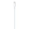 Imagen de Cable De Carga Usb C A Lightning Apple 96w 1m