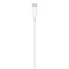 Imagen de Cable De Carga Usb C A Lightning Apple 96w 1m