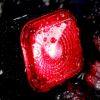 Imagen de Luz Trasera Para Bicicleta Thinkrider 0120wd 4 Modos Ip65